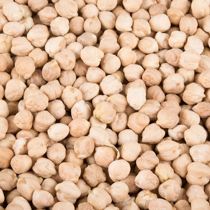 Dried White Chickpeas 9mm in a bag white garbanzo beans