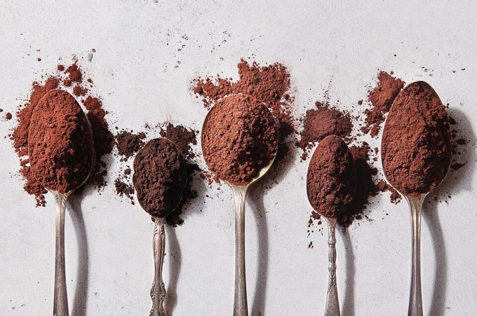 The Ultimate Guide to Understanding Cocoa Powder vs. Powdered Chocolate
