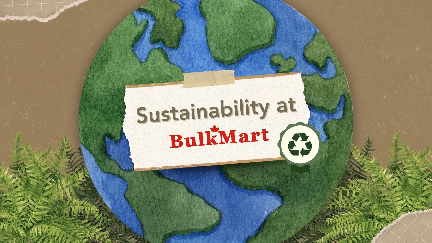 Sustainability at Bulk Mart: Practical Solutions for a More Sustainable Business