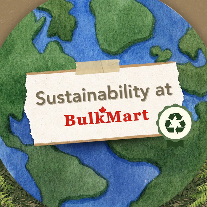 Sustainability at Bulk Mart: Practical Solutions for a More Sustainable Business