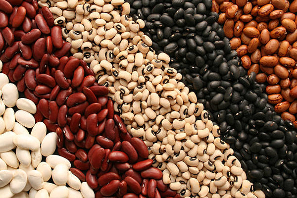 Dried Beans