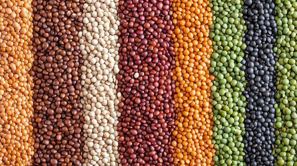 Lentils