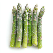 Alasko - IQF Asparagus Spears Medium 00184 - 1 Kg