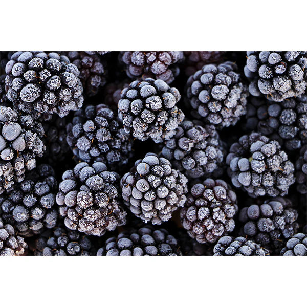 Alasko - IQF Blackberries 00226 - 5 x 1 Kg