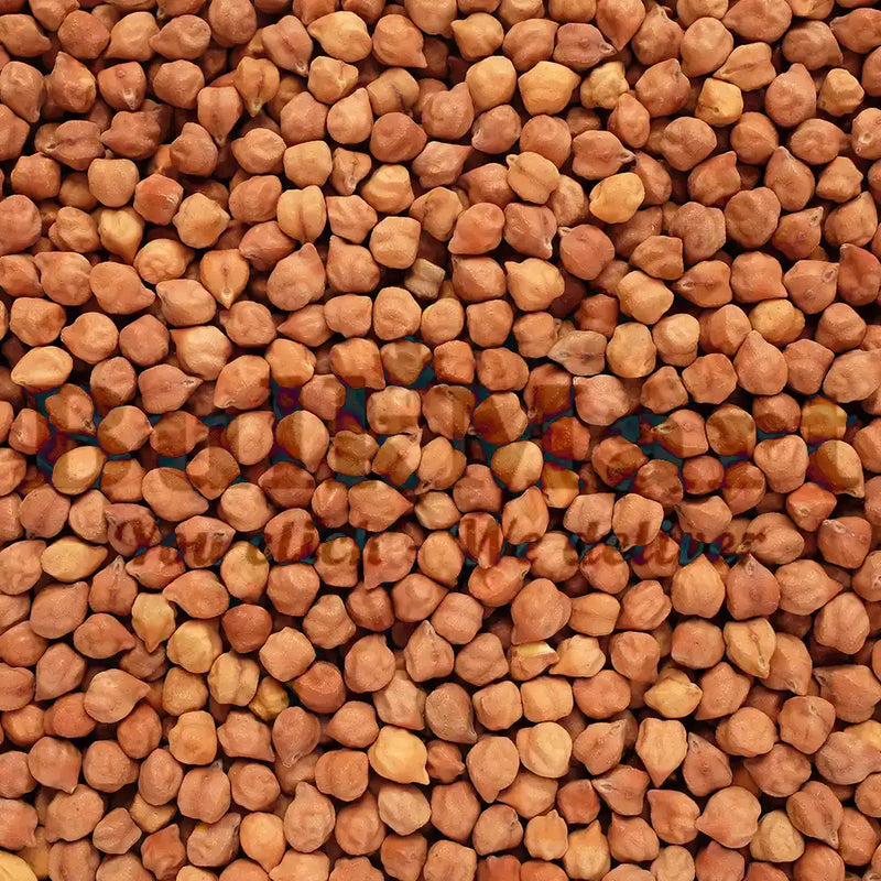 Clic - Dried Black Chickpeas / Kala Chana - 5 Kg