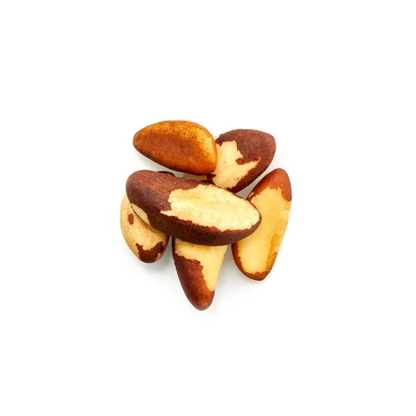 Brazil Nuts (Midget) Bulk - 44.1 Lbs