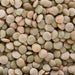 bulk green lentils
