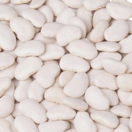 Bulk Dried Large Lima Beans