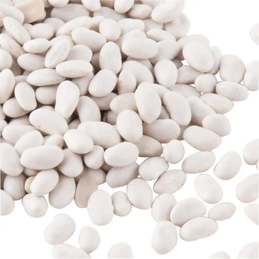 Dried Navy White Beans 