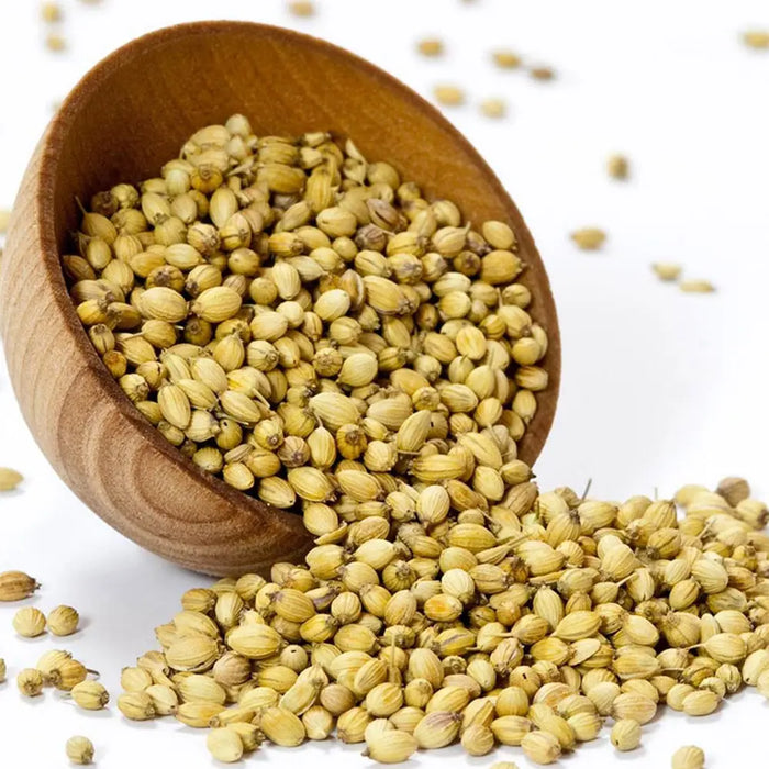 SmartChoice - Whole Coriander Seeds - 5 Lbs