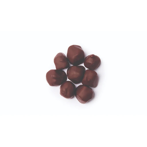 Dark Chocolate Covered Salted Caramel Coconut Bulk - 25 Lbs