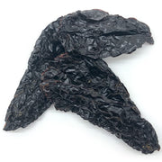 Dried Ancho Pepper - 12 x 1 Lbs