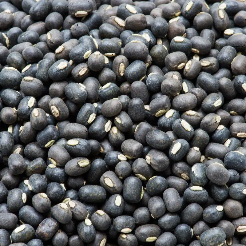 Dried Black Beans Urad Whole Bulk Supply