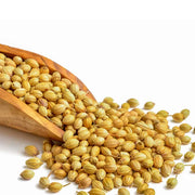 CORIANDER SEEDS