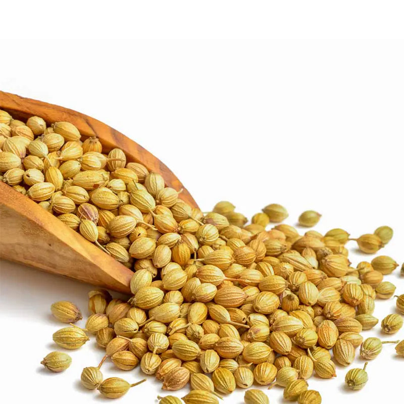 Bulk Dried Coriander seeds 