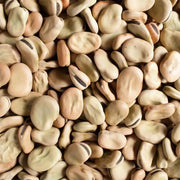 Dried Extra Large Fava Beans