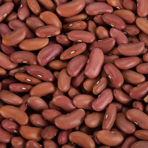 dried Light Red Kidney Beans in a bag