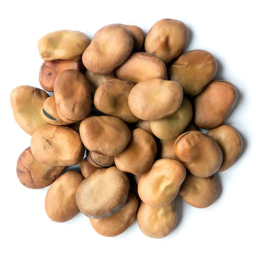 bulk Medium Fava Beans