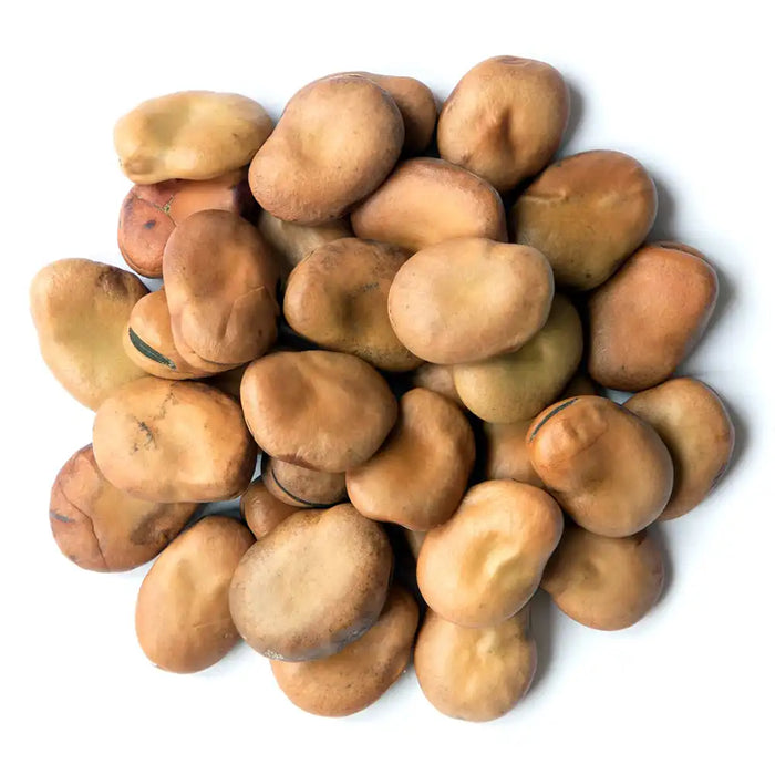 Dried Medium Fava Beans