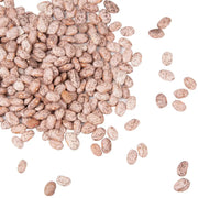 Dried Pinto Beans bulk