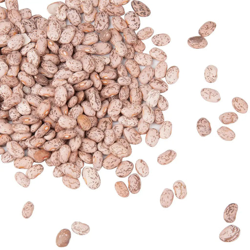 good quality Dried Pinto Beans