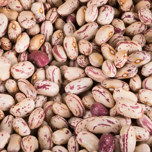  Dried Romano Beans bulk