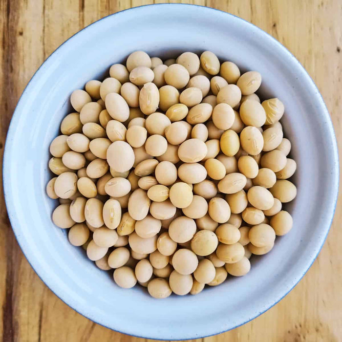 Clic - Dried Soy Beans - 15 kg