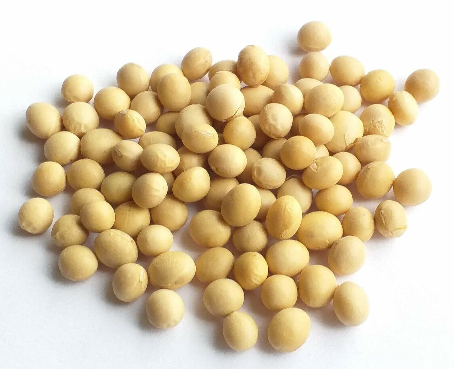 Wholesale Dried Beans, Chickpeas & Lentils Supplier Bulk Mart Canada