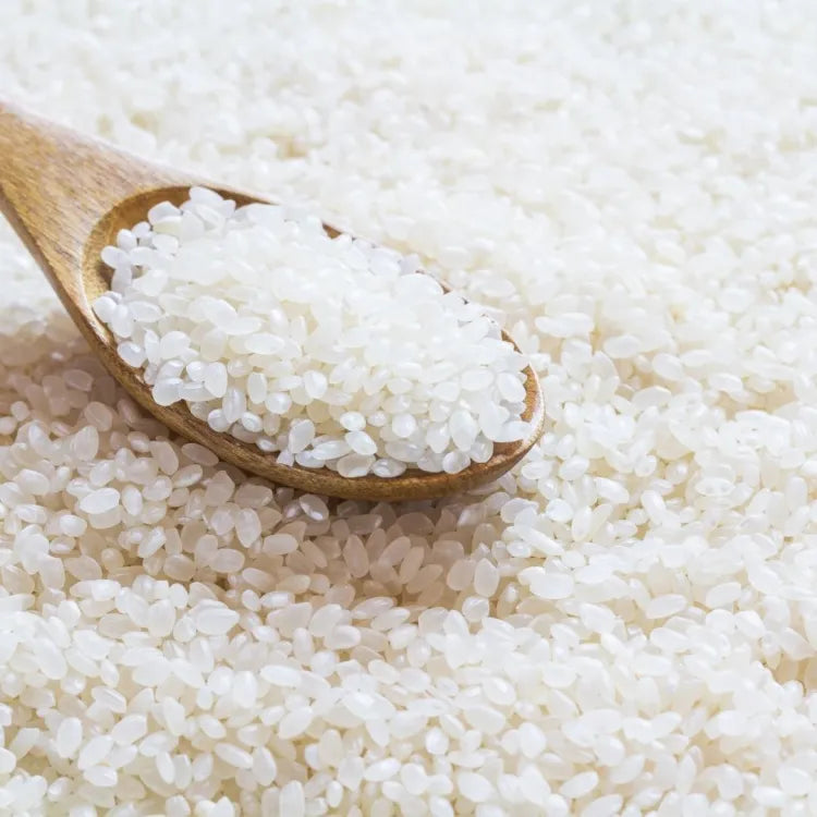 Egyptian Style White Rice - 10 Lbs