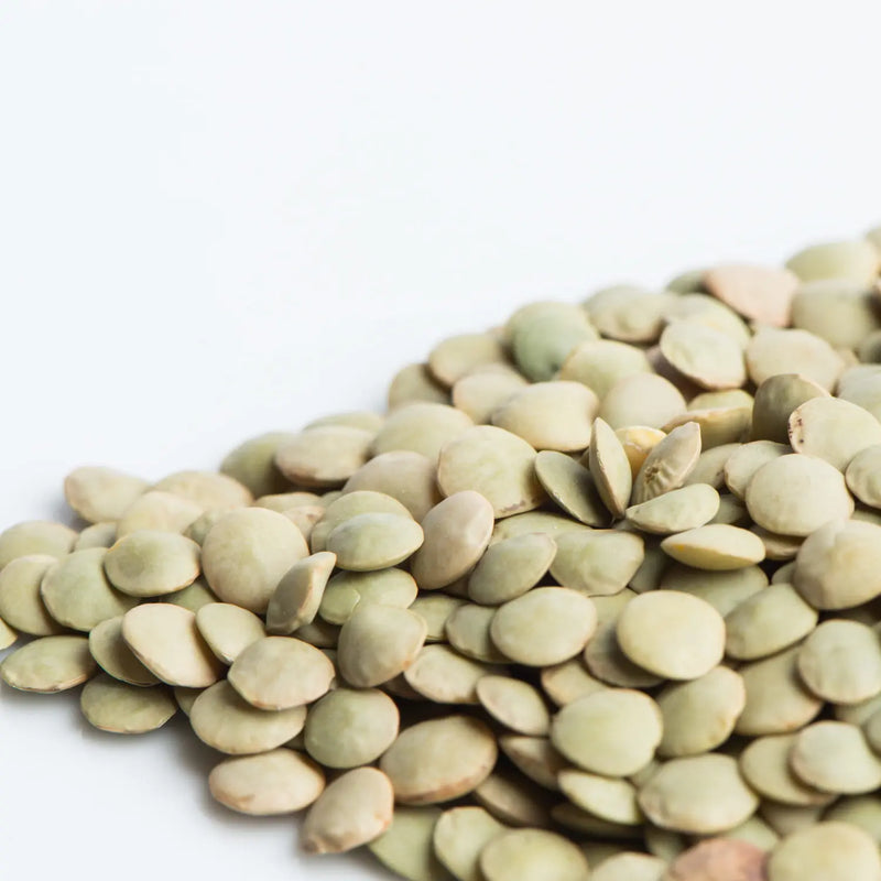 Green Laird Lentil