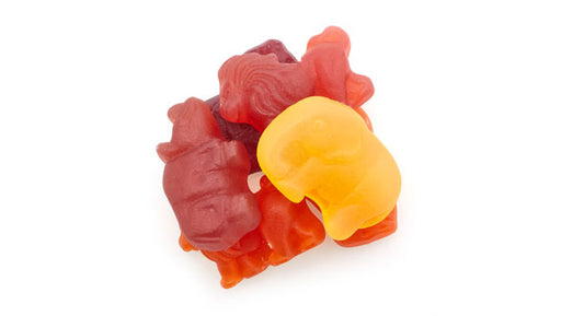 Jelly Zoo Animals Gummies Made With Real Fruit Juice - 10 Lbs