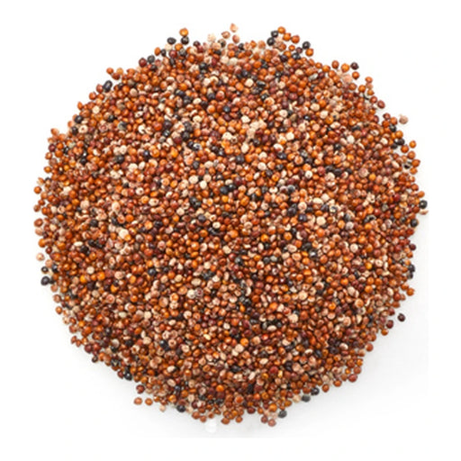 Kaniwa Seeds Bulk - 22.05 Lbs