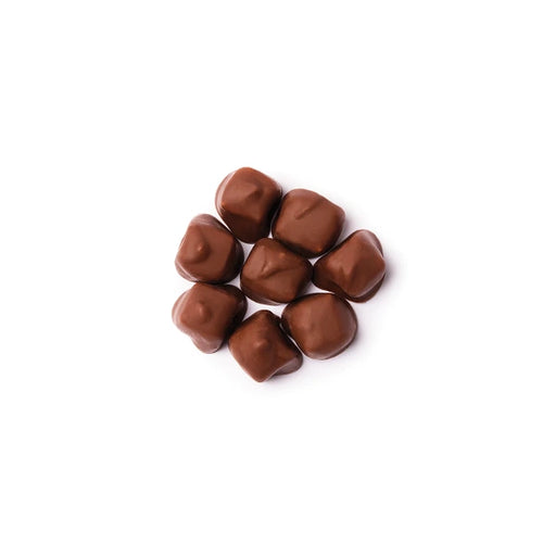 Milk Chocolate Covered Coconut Bulk - 25 Lbs
