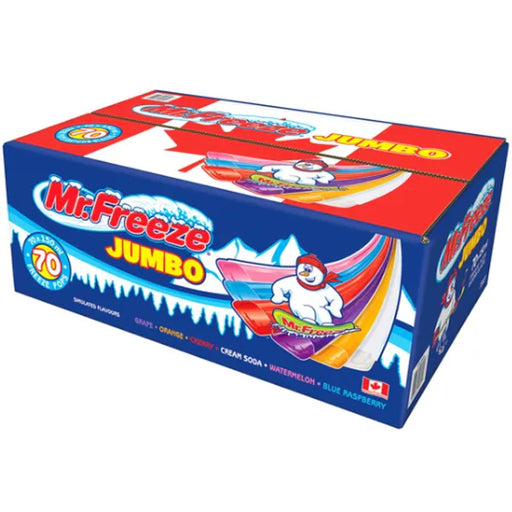 Mr Freeze - Giant Freezies - 70 x 150 ml