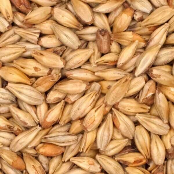 Munich Malt - 25 Kg