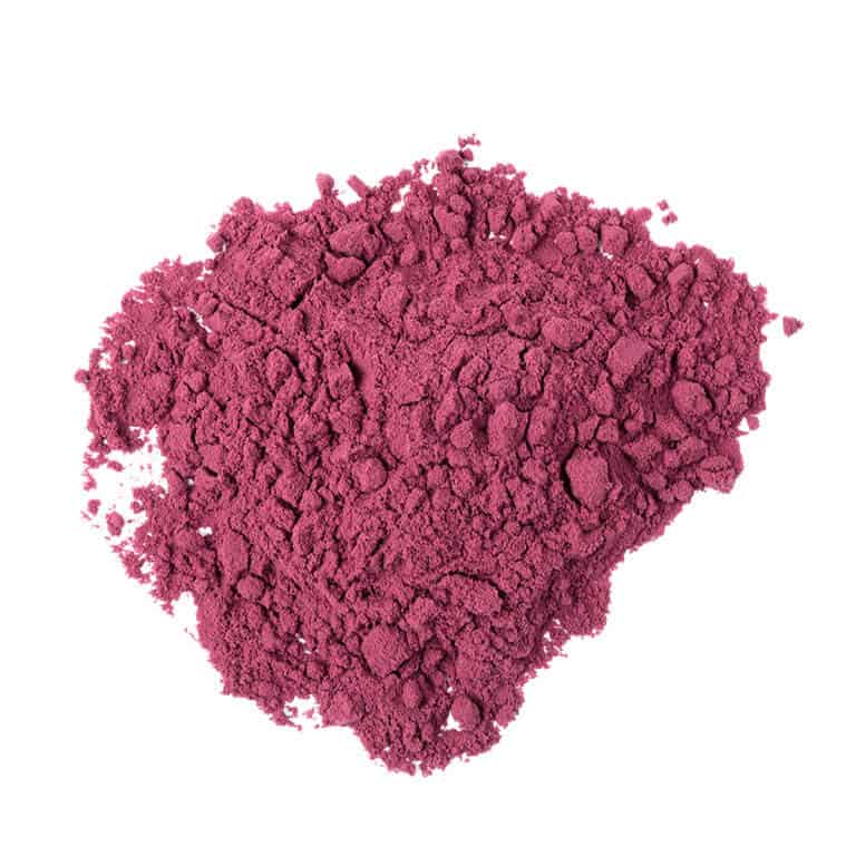 Organic Blueberry Juice Powder - 5 Kg