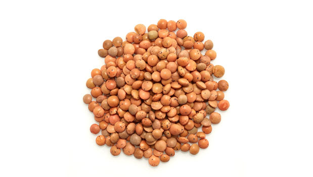 Organic Brown Lentils Bulk - 25 Lbs