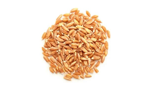 Organic Farro - 22 Lbs