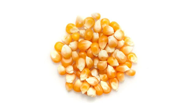 Organic Popcorn Kernels - 25 Kg