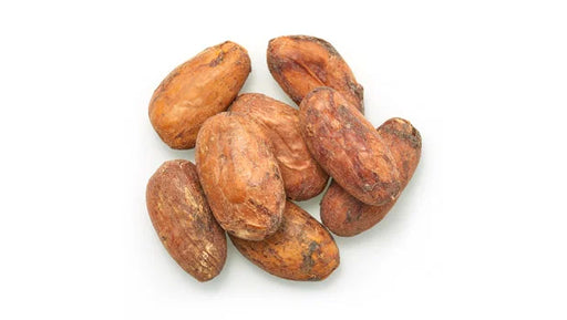 Organic Raw Cocoa Beans Vegan Bulk - 26 Lbs