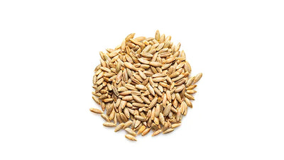 Organic Rye Kernels - 50 Lbs