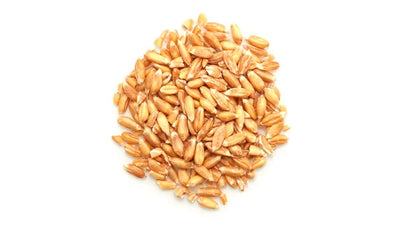Organic Spelt Kernels - 50 Lbs