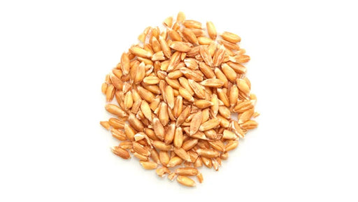 Organic Spelt Kernels - 50 Lbs