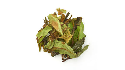 Organic White Bai Mu Dan Leaf Tea, Bulk Loose Leaf Tea - 2.21 Lbs