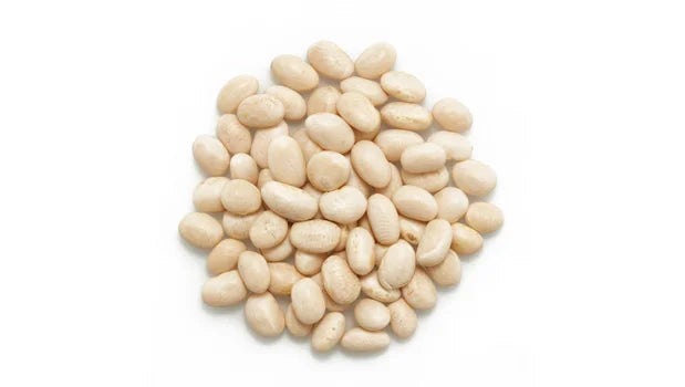 Organic White Navy Beans Bulk - 25 Lbs