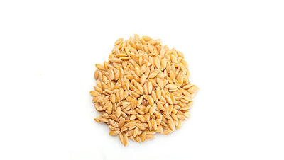 Organic Whole Einkorn - 10 Kg