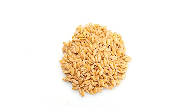 Organic Whole Einkorn - 10 Kg