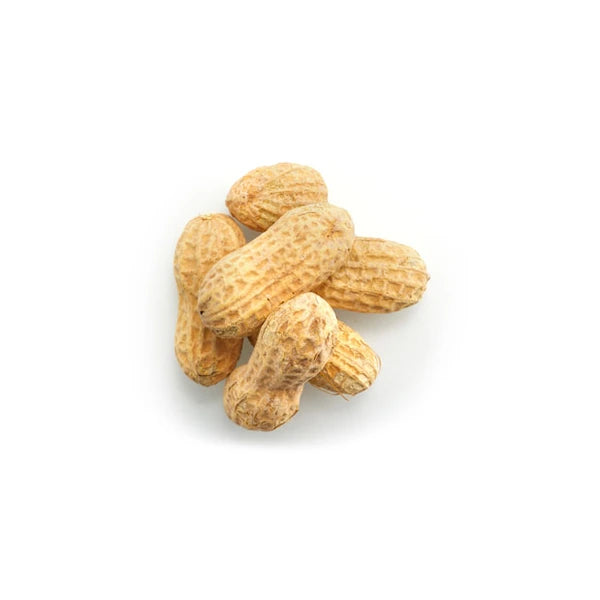Peanuts in Shell Salted Bulk - 50 Lbs