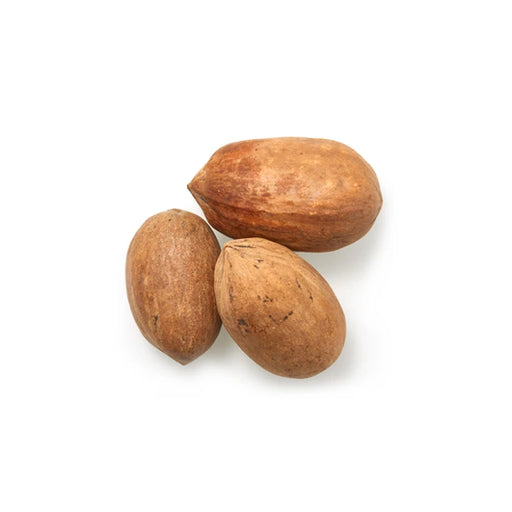 Pecans in Shell Bulk - 55.12 Lbs
