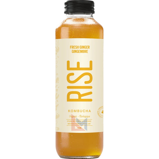 RISE Kombucha - Organic Fresh Ginger White Tea - 414 ml